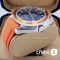 Часы Omega Seamaster Planet Ocean (11083)