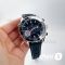 Часы Omega Seamaster Planet Ocean 007 (20162)