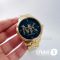 Часы Michael Kors Sofie MK6682 (22164)